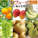 【ふるさと納税】【年6回定期便】くまもと旬のフルーツ極み定期便3（1回あたり15,000円相当）フルーツ 果物 くだもの デコポン すいか ぶどう 桃 マンゴー 季節 詰め合わせ セット 旬 定期便 6ヵ月 お楽しみ 九州 熊本県 送料無料