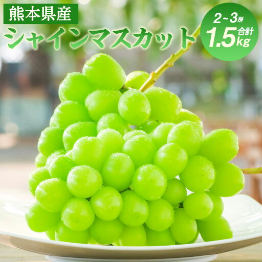【ふるさと納税】 シャインマスカット 熊本県産 約1.5kg ぶどう フルーツ 果物 葡萄 ブドウ 先行予約 送料無料 【2025年7月上旬~10月下旬発送予定】 【ふるさと納税】 シャインマスカット 熊本県産 約1.5kg ぶどう フルーツ 果物 葡萄 ブドウ 先行予約 送料無料 【2025年7月上旬~10月下旬発送予定】