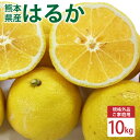 【ふるさと納税】 【規格外品】はるか ご家庭用 10kg サイズ不選別...(4)