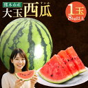 【ふるさと納税】 大玉 西瓜 1玉 8kg以上 すいか スイカ 西瓜 くだもの 果物 フルーツ 先行予約 熊本市産 熊本県産 九州産 国産 送料無料 【2026年5月上旬~7月上旬迄順次発送予定】