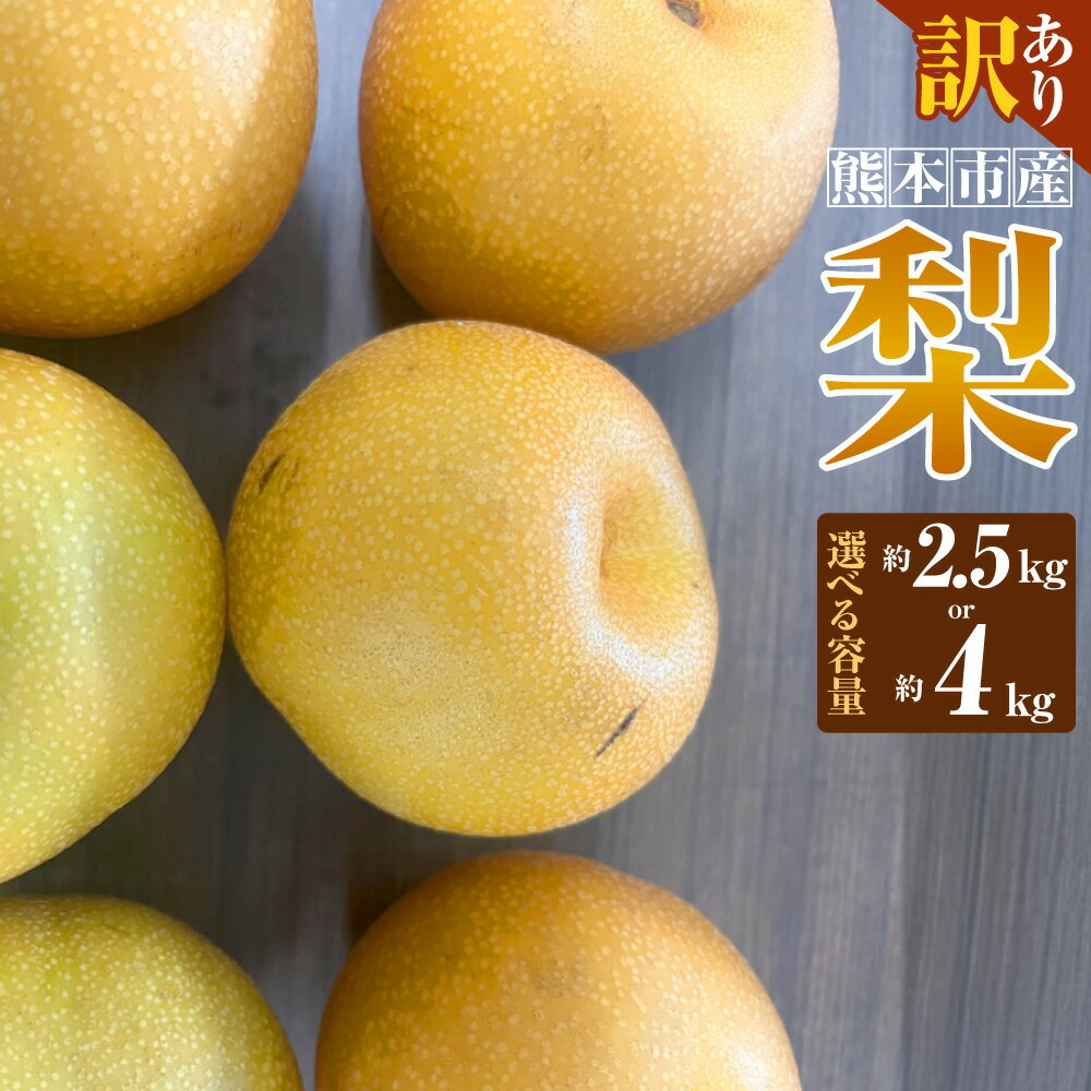 【ふるさと納税】＜選べる容量＞【訳あり】【数量限定】【先行予約】熊本市産 梨（幸水・豊水・秋月・新高など） 約2.5kg または 約4kg なし 果物 果実 フルーツ 果実 熊本県産 国産 熊本県 熊本市 送料無料 【2025年8月下旬～10月下旬発送予定】