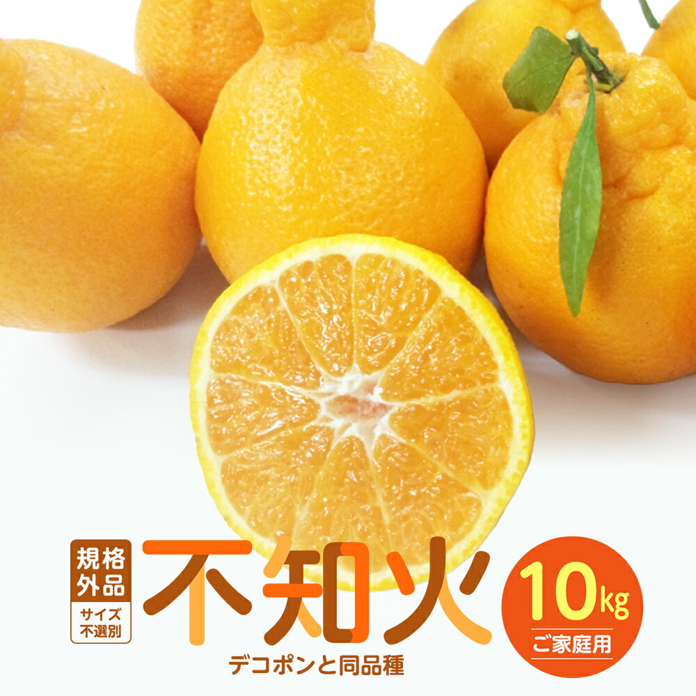 楽天市場】不知火 デコポン 10kgの通販 楽天市場】不知火 デコポン 10kgの通販