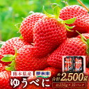 yӂ邳Ɣ[Łz 䂤ׂ  250g~2pbN 5 2.5kg v10pbN   嗱 W[V[ Y F{ F{s  y2025N2{`2{\z