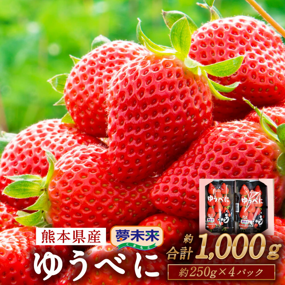 yӂ邳Ɣ[Łz 䂤ׂ  250g~2pbN 2 v4pbN 1kg   嗱 W[V[ Y F{ F{s  y2025N2{`2{\z