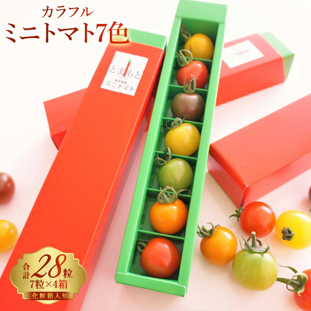 【ふるさと納税】 7色カラフルミニトマト4箱セット 野菜 ミニトマト プチトマト 完熟 ギフトボックス 化粧箱 新鮮 詰め合わせ サラダ スイーツ 生野菜 冷蔵 ギフト 贈り物 国産 熊本県 九州 有限会社アーティフル 送料無料