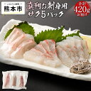 【ふるさと納税】 真鯛 お刺身用 サク 5パック 420g 鯛 鮮魚 魚 切身 熊本県 天草 冷凍 養殖 新鮮 鮮度 送料無料