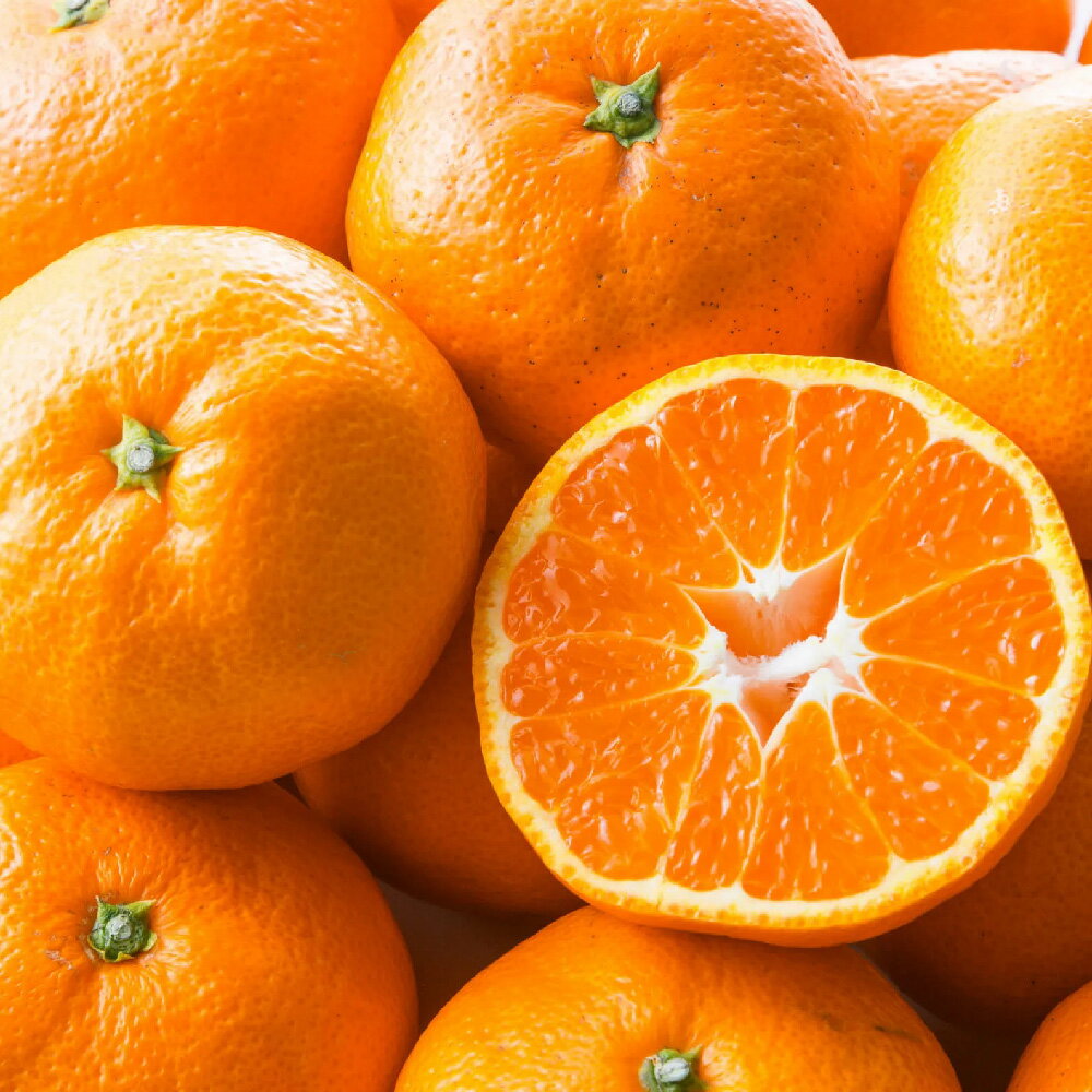 【ふるさと納税】 ＜選べる容量＞ 熊本市産 温州みかん 約2kg～約10kg フルーツ くだもの 果物 うんしゅう 温州 みかん ミカン 蜜柑 柑橘 果実 果肉 おやつ 熊本県産 国産 送料無料 【2024年11月上旬～2025年3月上旬発送予定】のサムネイル