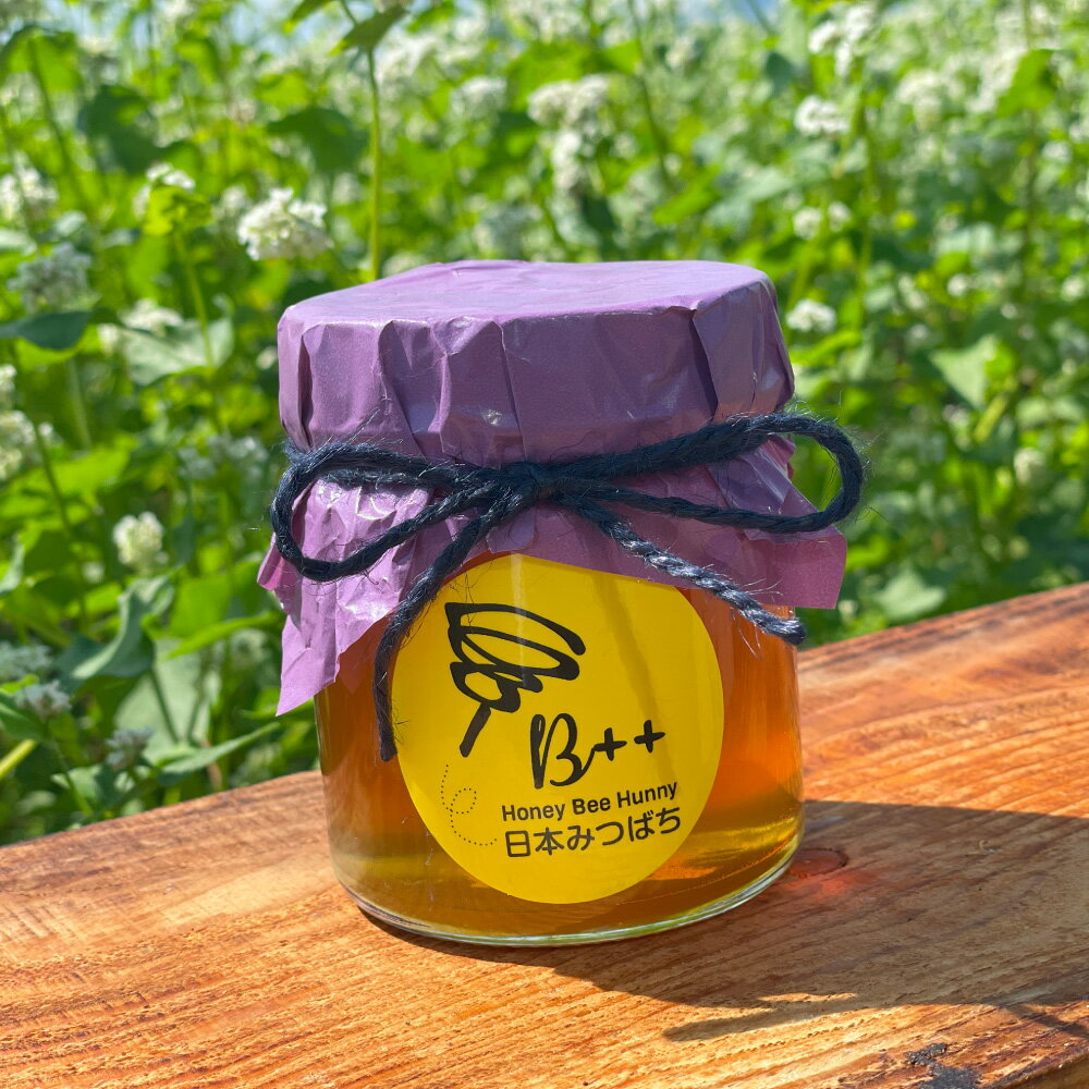 熊本県産 日本みつばちの蜂蜜 約250g はちみつ ハチミツ 蜂蜜 純粋蜂蜜 国産 送料無料