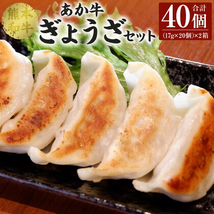 熊本 和牛 あか牛 ぎょうざ セット 20個入り×2箱 合計40個 餃子 生餃子 惣菜 おかず 中華 点心 焼くだけ 赤牛 熊本県産 国産 冷凍 送料無料