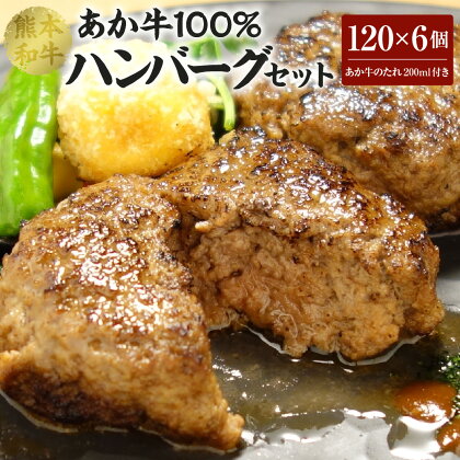 あか牛 100％ ハンバーグ セット （あか牛ハンバーグ120g×6個、あか牛のたれ200ml付き） 合計720g おかず 惣菜 洋食惣菜 洋風 たれ たれ付き 肉 お肉 牛 牛肉 赤牛 和牛 個包装 焼くだけ 熊本県産 国産 冷凍 送料無料