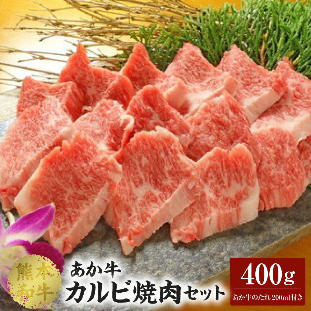 【ふるさと納税】 あか牛 カルビ焼き肉 セット（あか牛バラカルビ400g、あか牛のたれ200ml付き）合計400g たれ たれ付き 肉 お肉 牛 牛肉 カルビ バラカルビ やきにく 焼肉 あかうし 赤牛 和牛 熊本県産 国産 冷凍 送料無料