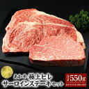 【ふるさと納税】 あか牛極上ヒレ&サーロインステーキセット (あか牛ヒレステーキ150g、あか牛サーロインステーキ200g×2枚、あか牛のたれ200ml付き)合...