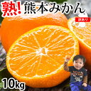 【ふるさと納税】 訳あり みかん 10kg ご自宅用 サイズ不選別 蜜...(4)