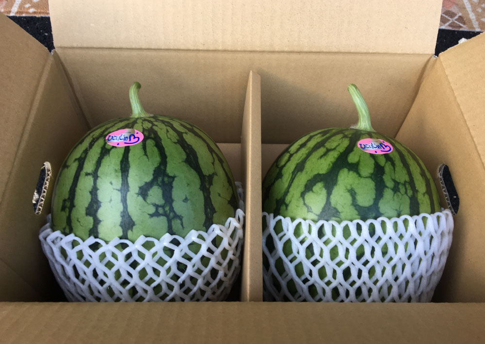 【ふるさと納税】熊本特産！小玉 スイカ2玉 入り 西瓜 果物 フルーツ 九州 ギフト 贈答 小玉 くだもの 熊本県産 送料無料【2027年6月発送予定】 f431001-kumamoto-10001349 熊本県熊本市 サンプル画像2