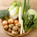 【ふるさと納税】 綺麗な水の街熊本で採れた新鮮野菜詰め合わせ セット 3~5品目 約4~5kg キャベツ ブロッコリー 玉ねぎ ジャガイモ ゴーヤ しそ おくら...