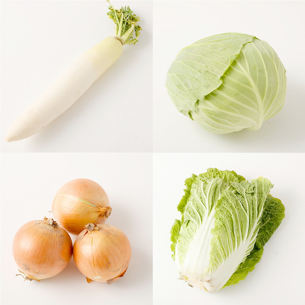 【ふるさと納税】 綺麗な水の街熊本で採れた新鮮野菜詰め合わせ セット 3～5品目 約4～5kg キャベツ ブロッコリー 玉ねぎ ジャガイモ ゴーヤ しそ おくら ピーマン 唐辛子 サツマイモ ほうれん草 冷蔵 熊本県産 九州 国産 熊本県 熊本市 送料無料