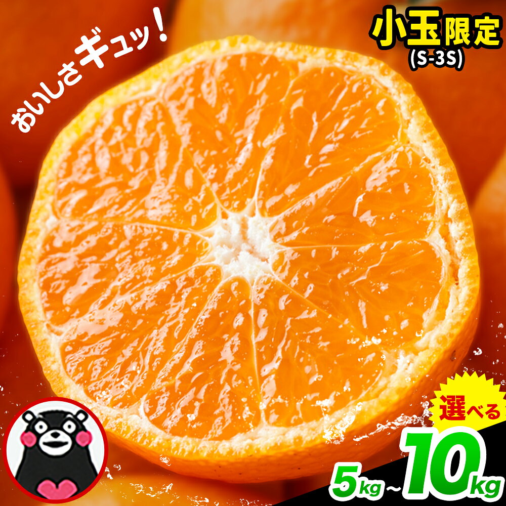 ＜選べる容量＞ 熊本県産 くまもと小玉みかん 計5kg（2.5kg×2箱） または 計10kg（10kg×1箱） みかん ミカン 果物 くだもの フルーツ おやつ 小玉 小ぶり デザート 健康 【2025年10月下旬～12月下旬迄順次発送予定】送料無料