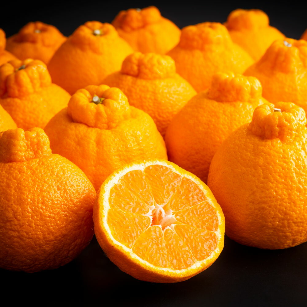 熊本県産 デコポン 5kg 15〜18玉 1玉当たり約270〜330g でこぽん みかん ミカン 蜜柑 柑橘 くだもの 果物 果実 フルーツ 国産 九州 熊本県 熊本市 送料無料 [2026年3月上旬〜3月下旬迄順次発送予定]