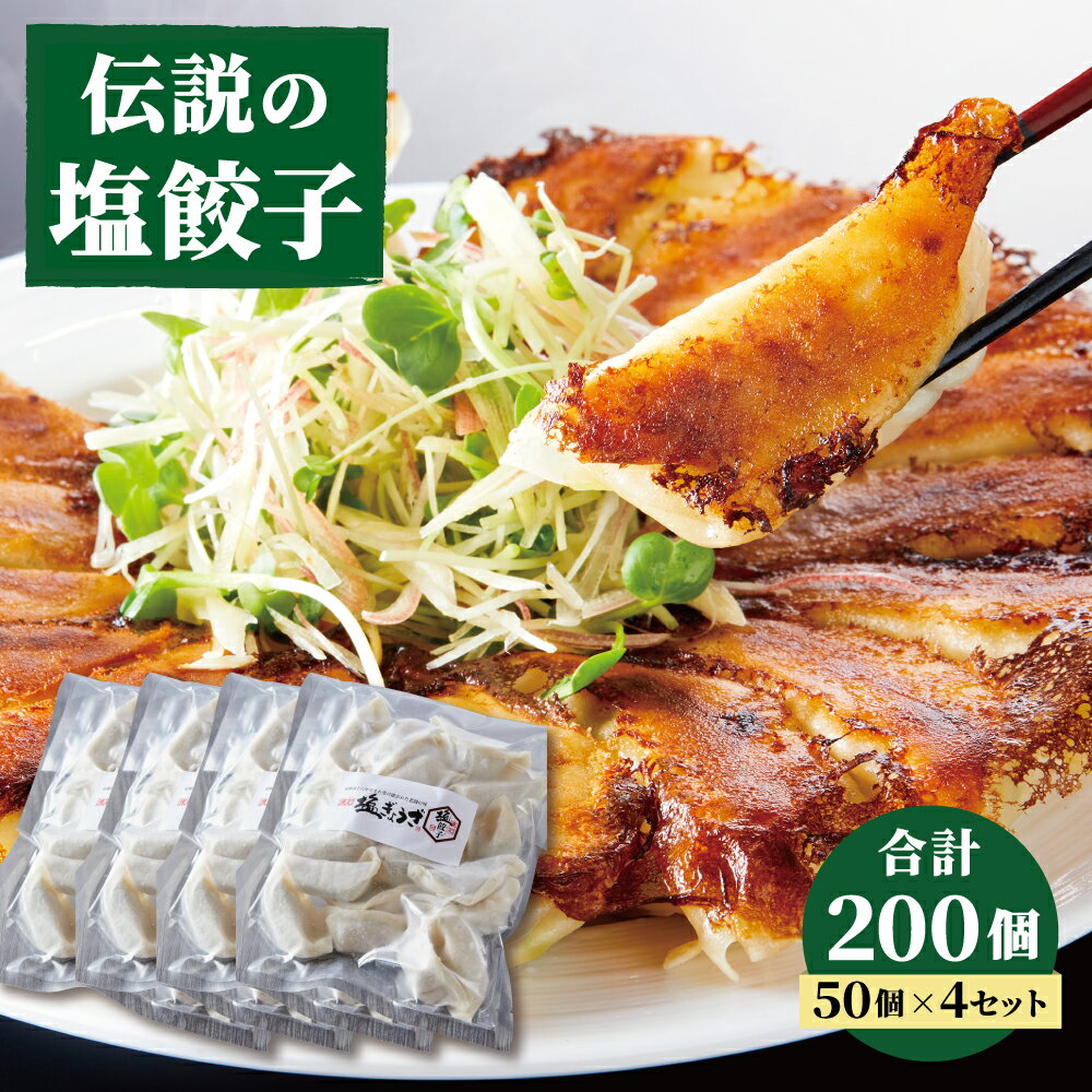 13位! 口コミ数「0件」評価「0」 伝説の塩ぎょうざ 200個（50個700g×4セット） 餃子 ギョウザ おかず 惣菜 鶏肉 豚肉 ニンニク ニラ ひとくち 熊本県 中華 ･･･ 