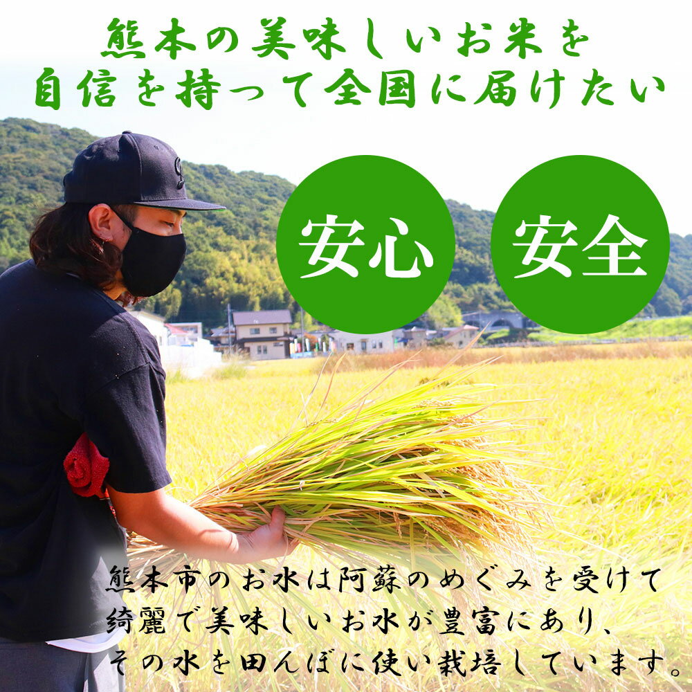 【ふるさと納税】熊本県産 森のくまさん 合計20kg 5kg×4袋 米 お米 特別栽培 産地直送 熊本 熊本市 熊本県 送料無料