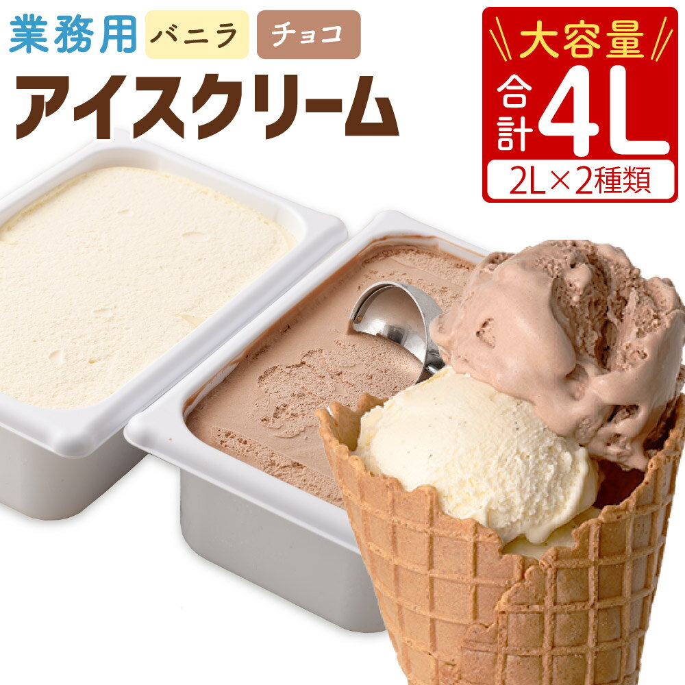 業務用 2Lアイス セット 合計4L 2L×2種類 バニラ チョコ 大容量 アイス アイスクリーム セット バニラアイス チョコアイス スイーツ おやつ 乳製品 熊本県製造 九州産 国産 冷凍 送料無料