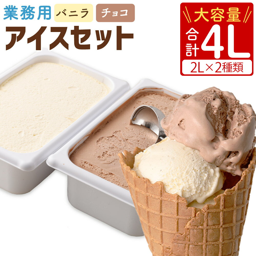 4位! 口コミ数「1件」評価「5」 業務用 2Lアイス セット 合計4L 2L×2種類 バニラ チョコ 大容量 アイス アイスクリーム アイスミルク セット バニラアイス チ･･･ 