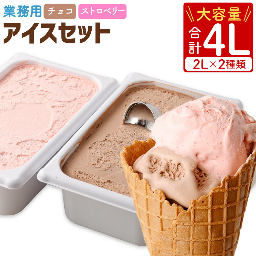 24位! 口コミ数「0件」評価「0」 業務用 2Lアイス セット 合計4L 2L×2種類 チョコ ストロベリー大容量 アイス アイスクリーム アイスミルク セットチョコアイス ･･･ 