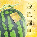 【ふるさと納税】 熊本産 金色羅皇 1玉 スイカ すいか 7kg 以上 西瓜 果物 フルーツ 旬 果肉 おやつ 九州 ギフト 贈答 先行予約 送料無料 【202...