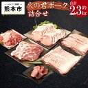 熊本県産 火の君ポーク® 詰め合わせ 合計2.3kg 豚こまぎれ 細切れ こまぎれ ロース 生姜焼き用 肩ロース トンテキ用 バラ 豚バラ 焼肉用 しゃぶしゃぶ用 ヒレ ヒレ肉 豚カツ用 トンカツ用 豚 豚肉 肉 国産 九州産 熊本市産 冷凍 送料無料