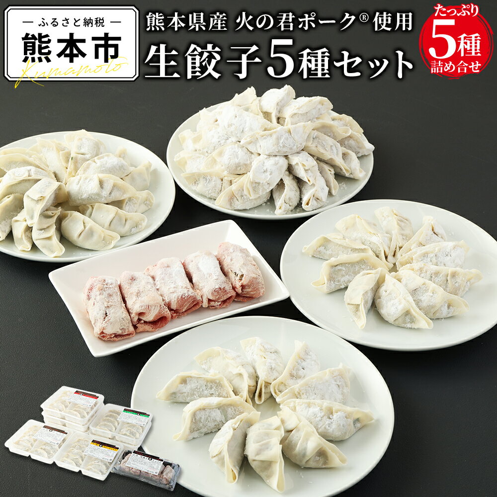 【ふるさと納税】 熊本県産 火の君ポーク®使用生餃子5種セッ