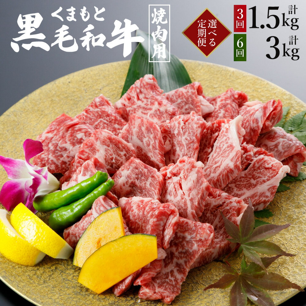 [選べる定期便] くまもと 黒毛和牛 焼肉用 500g 1パック 3ヶ月 6ヶ月 モモ ウデ等 牛肉 肉 お肉 にく 和牛 焼き肉 やきにく カット 熊本県産 国産 冷凍 送料無料