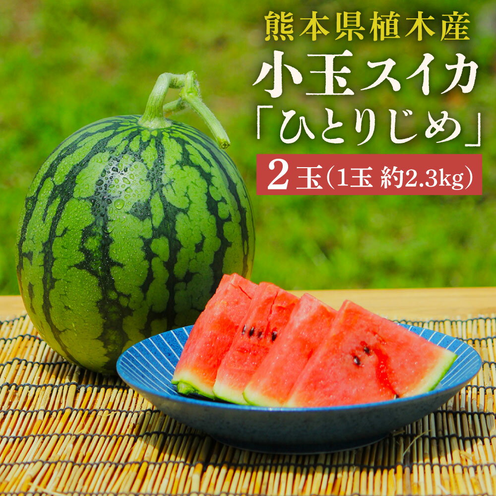 【ふるさと納税】【上村農園】小玉すいか約2.3kg 2玉ひとりじめ【2026年5月上旬～5月下旬迄順次発送予..
