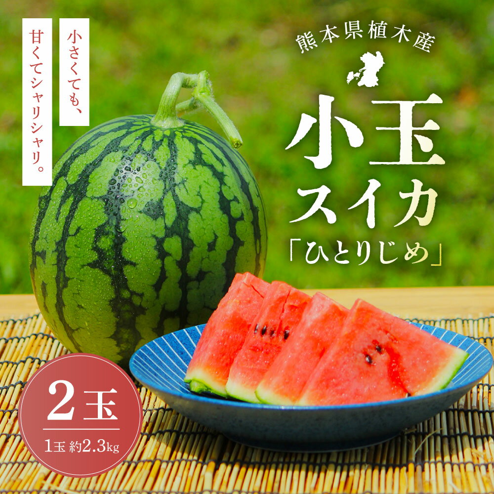 【ふるさと納税】【上村農園】小玉すいか約2.3kg 2玉ひとりじめ【2026年5月上旬～5月下旬迄順次発送予定】春スイカ植木スイカ西瓜果物くだものフルーツおやつ熊本県産国産常温送料無料熊本県熊本市