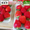【ふるさと納税】 絢音ベリー 農園 紅ほっぺ いちご 1kg (250g×4パック) くだもの 果物 苺 イチゴ おやつ 熊本県 高級 フルーツ ギフト 厳選 ...