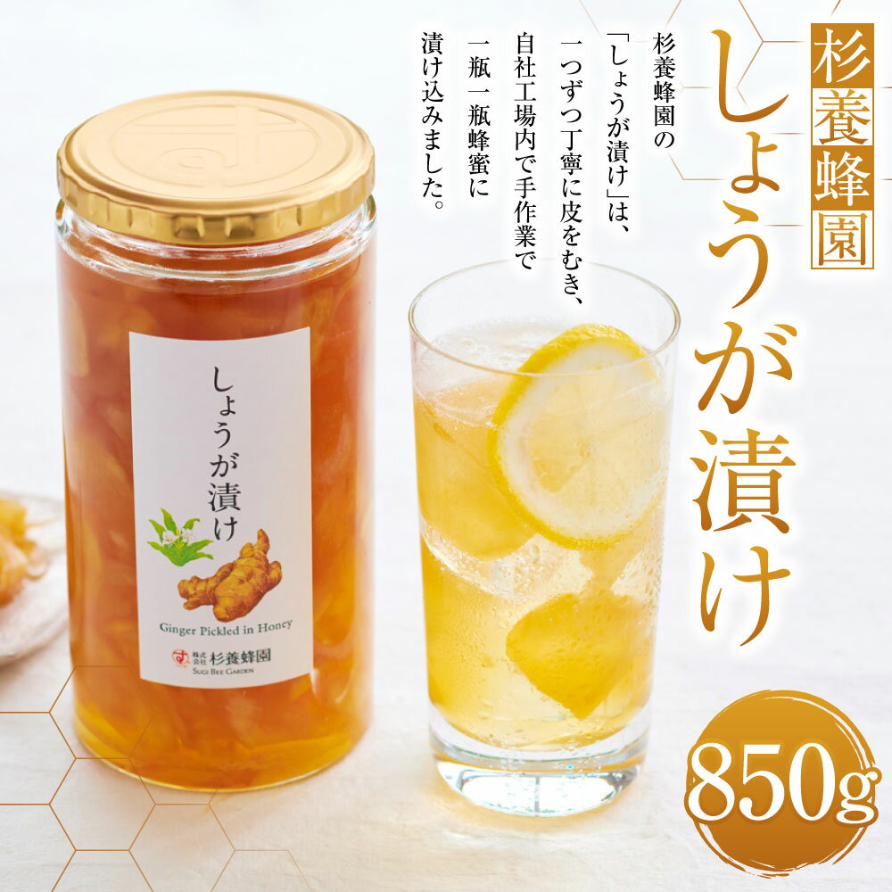 【ふるさと納税】 しょうが漬け 850g 合計1本 生姜漬け 漬け蜜 はちみつ ハチミツ 蜂蜜 しょうが 生姜 ショウガ リンゴ酢 杉養蜂園 熊本市 送料無料