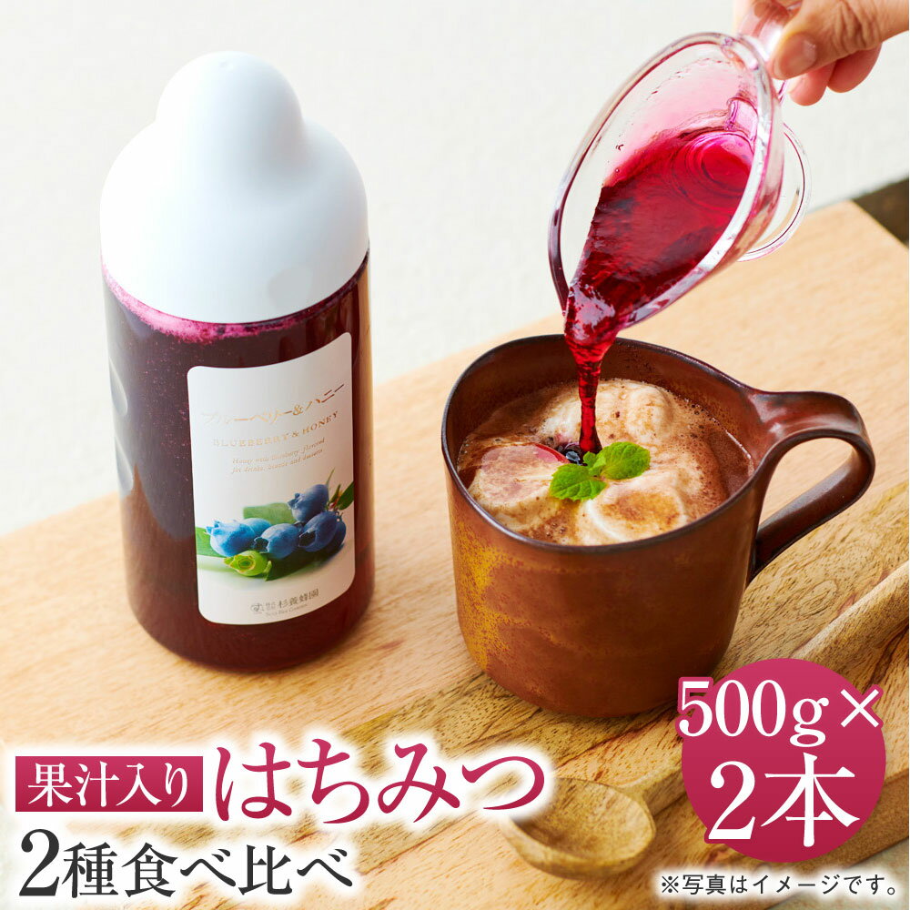 【ふるさと納税】 果汁入りはちみつ 500g 2種食べ比べ 合計1,000g 合計2本 ゆず蜜（500g×1本） 1種お選び（500g×1本） ゆず蜜 ブルーベリー 巨峰 アセロラ ラズベリー マンゴー アップル 杉養蜂園 熊本市 送料無料