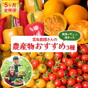 【ふるさと納税】【先行予約】 【定期便5回】 八代市産 農産物おすすめ定期便 宮島農園 ミニトマト トマト パプリカ 野菜 農産物 おすすめ 定期便 熊本県 八代市 送料無料 【2025年12月上旬より順次発送】