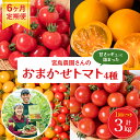 【ふるさと納税】【先行予約】【定期便6回】おまかせトマト4種 3kg×6回 計18kg 八代市産 宮島農園 ミニトマト トマト とまと 農産物 野菜 セット 詰め合わせ 定期便 送料無料 【2025年12月上旬より順次発送】