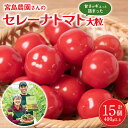 ・ふるさと納税よくある質問はこちら ・寄附申込みのキャンセル、返礼品の変更・返品はできません。あらかじめご了承ください。 宮島農園の大人気トマト『セレーナ』 食べた人にしか分からないこの独特の食感をぜひ体感してください！ 皮が口に残らないほど皮が柔らかく、甘さは控えめ。食感に特徴のあるトマトです。 商品説明 名称 【先行予約】セレーナトマト 大粒 15個 400g以上 産地 熊本県八代市 内容量 400g以上 (15個) 賞味期限 7日 保存方法 冷蔵 事業者 宮島農園 備考 ※ご入金のタイミングにより、配送月のご希望に沿えない場合がございます。 ※発送指定日については承っておりません。ご了承くださいませ。 ※天候や収穫状況によりお届け時期が予定より前後する場合がございます。 ※長期ご不在など、寄附者様のご都合でお受け取りいただけなかった場合の再発送はいたしかねます。 ※お受け取りできない期間が予め分かっている場合は、お申込み時に「備考欄」へご記入くださいませ。 ※お届け不可地域について 　賞味・消費期限の短い返礼品につきましては、北海道・離島・沖縄県へのお届けを行っておりません。 ※到着後、日数が経過したものに関しましては対応いたしかねます。 ■事業者PR ちぎりたてをそのまま箱詰め! お客様の口に入るときに、ちぎりたてをそのままお届けしたいので、収穫のときに野菜になるべく触れないように気をつけて出荷します。 トリジェネレーションと呼ばれるシステムを導入することで、二酸化炭素を常に一定濃度に保ち、ハウス内で栽培している植物の光合成を促し、育成増進を図っています。 また、トマトの根元には土中の水分を調整し風味を高めるためバジルを植えています。 ■関連ワード 食品 野菜 やさい トマト とまと ミニトマト セレーナトマト ふるさと納税 楽天ふるさと納税 楽天 スーパーセール 楽天スーパーセール 楽天SS 楽天セール 楽天 セール寄附金の使い道について (1) 誰もがいきいきと暮らせるまち (2) 郷土を担い学びあう人を育むまち (3) 安全・安心・快適に暮らせるまち (4) 地域資源を活かし発展するまち (5) 人と自然が調和するまち (6) その他市長が特に認めるまちづくり 受領証明書及びワンストップ特例申請書について ■受領証明書入金確認後、注文内容確認画面の【注文者情報】に記載の住所に30日以内に発送いたします。 ■ワンストップ特例申請書入金確認後、注文内容確認画面の【注文者情報】に記載の住所に30日以内に発送いたします。 ※入金後の確認作業で時間を要した場合、「受領証明書」及び「ワンストップ特例申請書」の発行が遅れる事がございます。