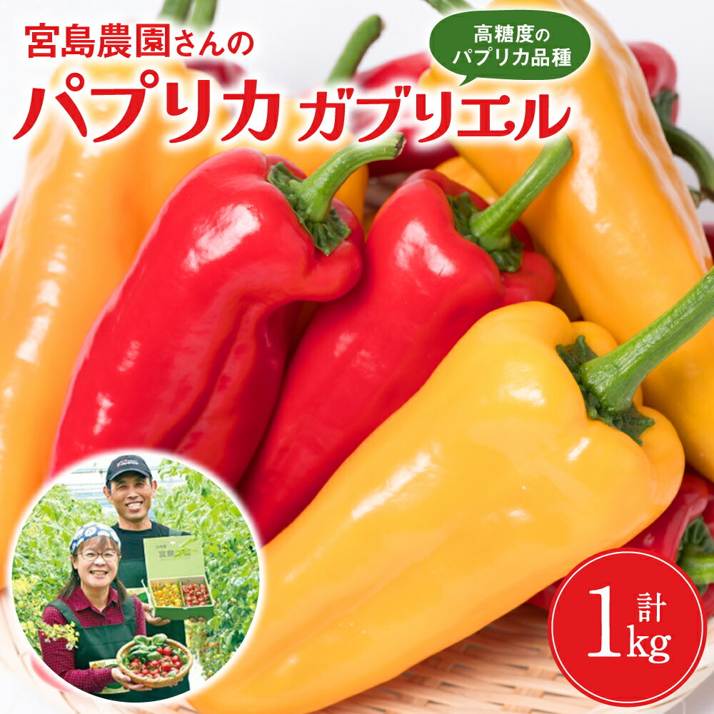 パプリカ ガブリエル 1kg 八代市産 宮島農園 野菜 サラダ 赤 生野菜 旬 冷蔵 八代市産 国産 熊本県 九州 送料無料