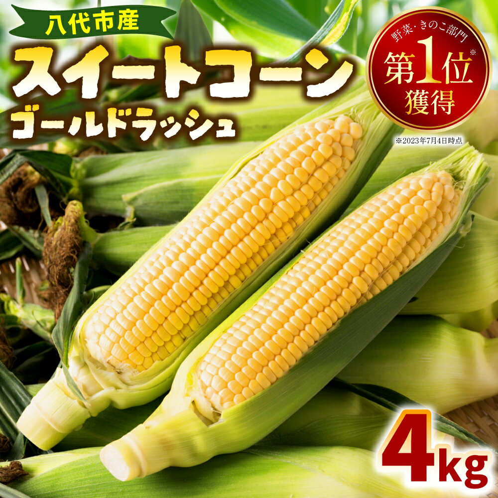  熊本県八代市産 スイートコーン ゴールドラッシュ 4kg とうもろこし 朝採り 高糖度 期間限定 八代産 熊本県産 国産 送料無料