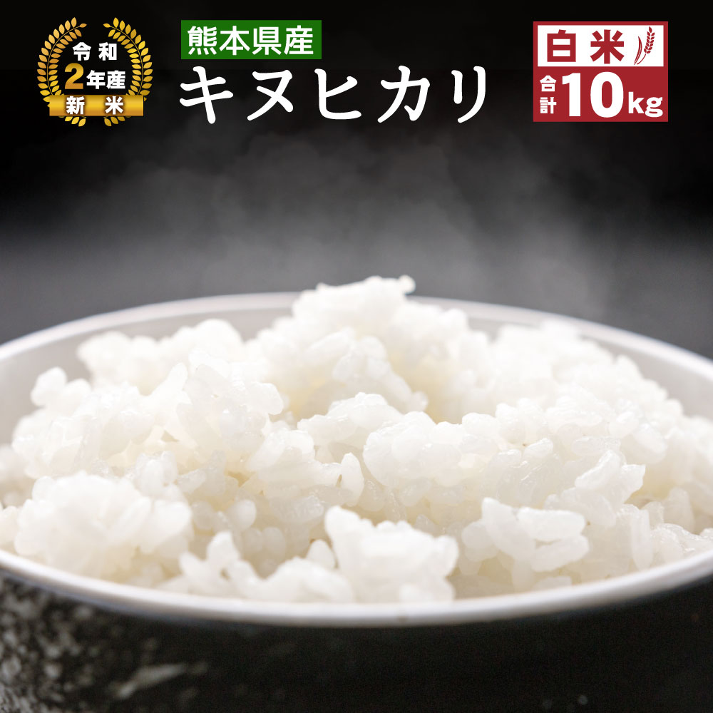 【ふるさと納税】熊本県産 キヌヒカリ 10kg 5kg×2袋 令和2年産 白米 お米 精米 きぬひかり 新米 国産 八代産 送料無料