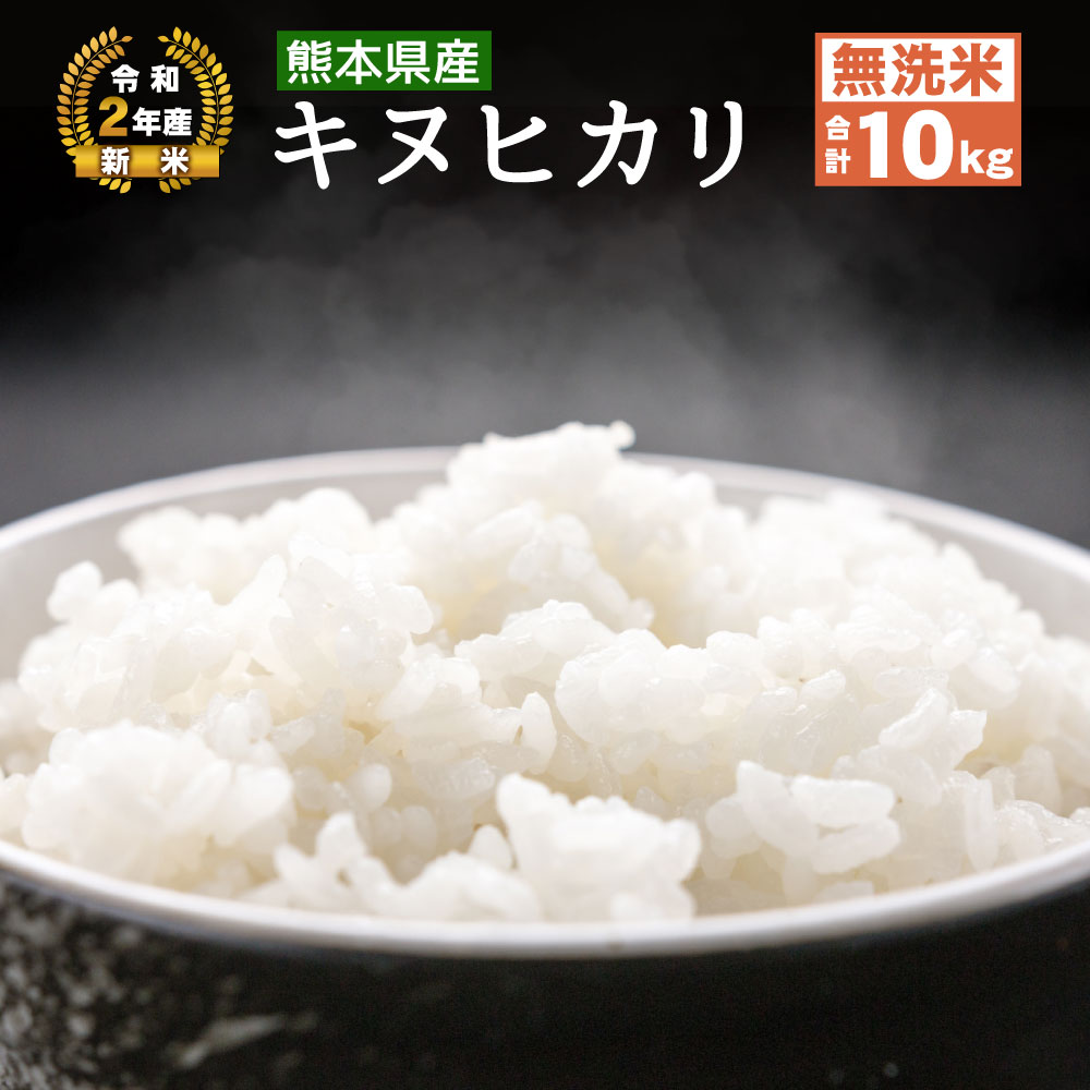 【ふるさと納税】熊本県産 キヌヒカリ 無洗米 10kg 5kg×2袋 令和2年産 お米 精米 きぬひかり 新米 国産 八代産 送料無料