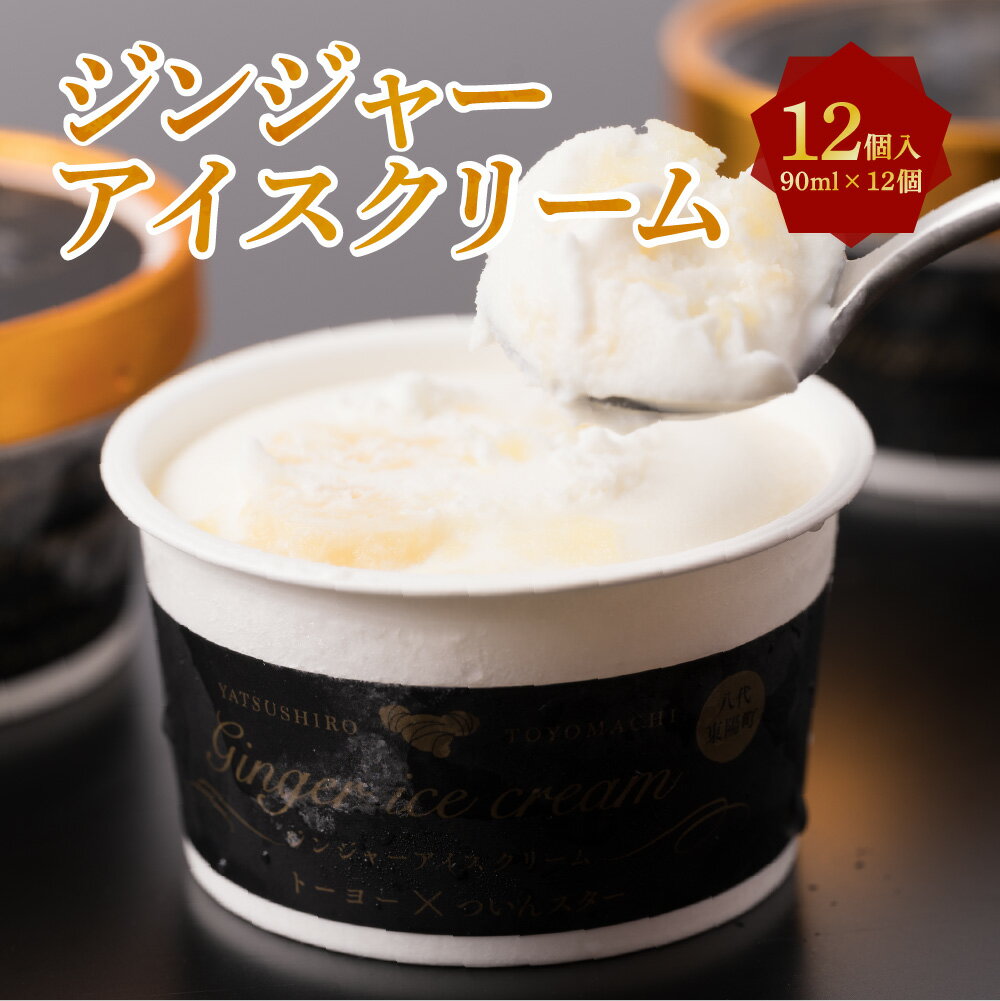 ジンジャーアイス 90ml × 12個 セット 合計1080ml アイスクリーム しょうが 生姜 ついんスター 濱大松園 国産 送料無料