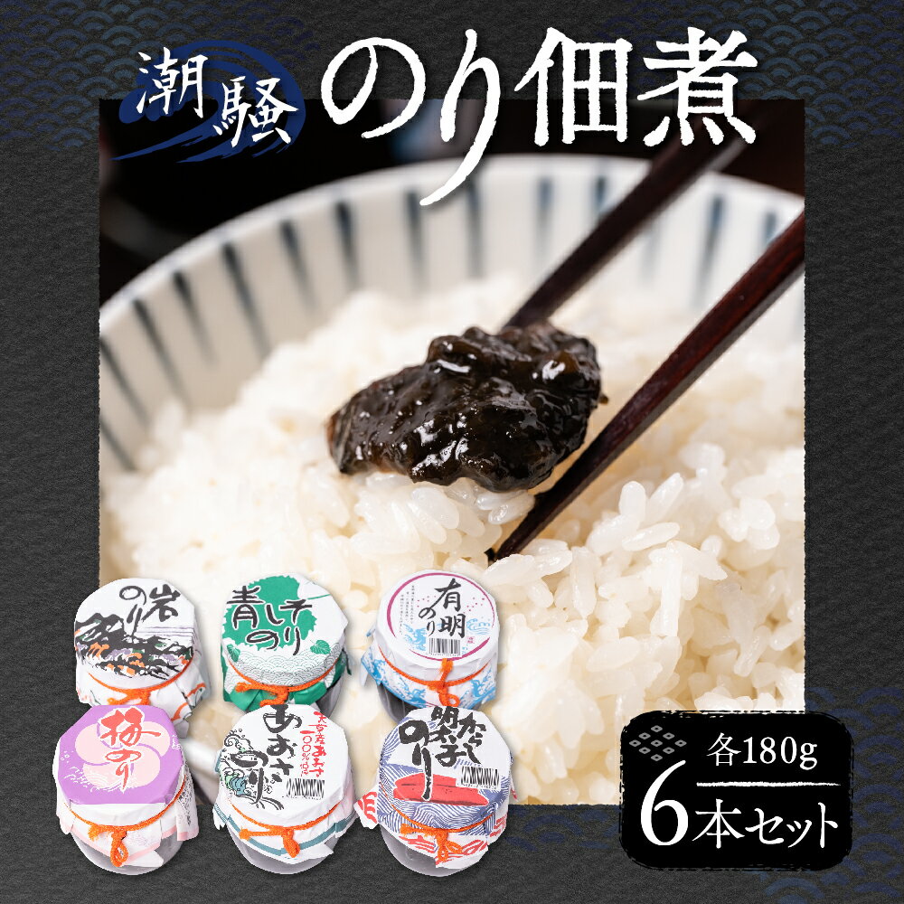 【ふるさと納税】潮騒 のり佃煮 6本 セット 180g 6種 海苔の佃煮 つくだに 海苔 岩のり 辛子明太子のり 青しそのり 梅のり 有明のり 100％あおさのり ごはんのお供 食べ比べ おかず 国産 熊本県 八代市 送料無料