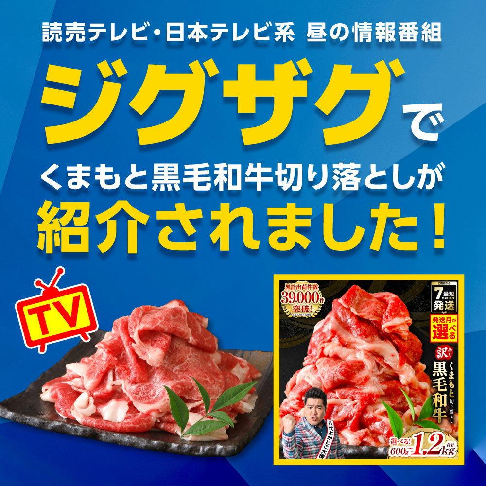 【ふるさと納税】 訳あり 黒毛和牛 牛肉 切り落とし 小分け パック 冷凍 600g〜1.2kg くまもと黒毛和牛【選べる内容量・発送月】 霜降り 部位ミックス 毎月数量限定 限定 国産牛 ブランド牛 国産 黒毛和牛 お肉 牛 牛肉 7営業日以内に発送 ＼ スピード発送 ／ 送料無料