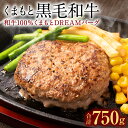 【ふるさと納税】くまもと黒毛和牛 和牛100％ ハンバーグ くまもとDREAMバーグ 150g 5 合計750g 黒毛和牛 牛肉100% 九州産 国産 熊本県産 手作り 牛肉 お肉 焼くだけ 簡単調理 惣菜 おかず お…