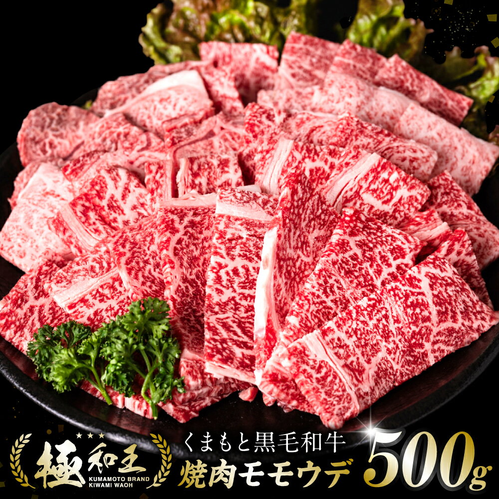 【ふるさと納税】 極和王シリーズ くまもと黒毛和牛 焼肉赤身 500g A4-A5 ランク 赤身 焼肉 焼き肉 国産牛 和王 黒毛和牛 和牛 牛 牛肉 お肉 肉 国産 熊本県産 冷凍 送料無料のサムネイル