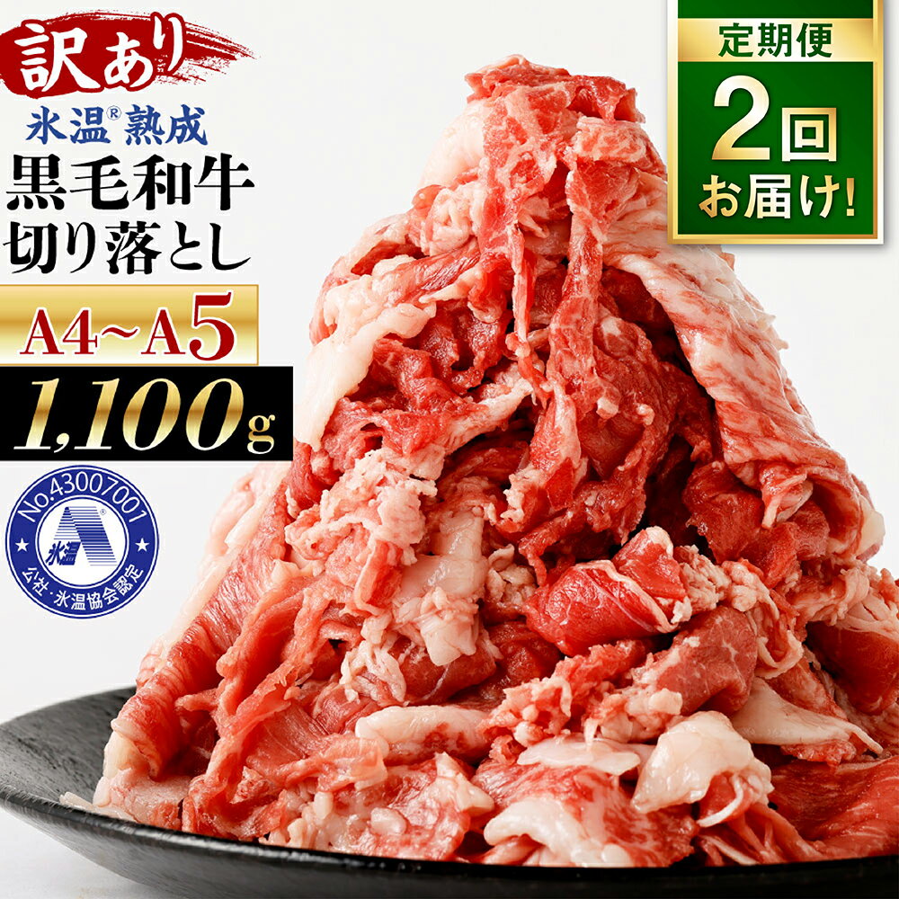 【ふるさと納税】【9月30日受付終了】【定期便2回】【訳あり】A4〜A5ランク 氷温(R)熟成 九州産 黒毛和牛 不揃い 切り落とし 1.1kg定期便 冷凍 国産 牛肉 氷温熟成のサムネイル