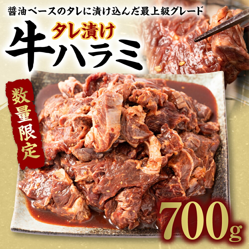 【ふるさと納税】【数量限定】タレ漬け 牛ハラミ 700g 牛肉 お肉 醤油ベース 味付き 焼肉 BBQ バーベキュー 焼き肉 焼くだけ 簡単調理 ハラミ たれ漬け お肉 惣菜 おかず お取り寄せ グルメ 冷凍 アメリカ産 海外産 送料無料